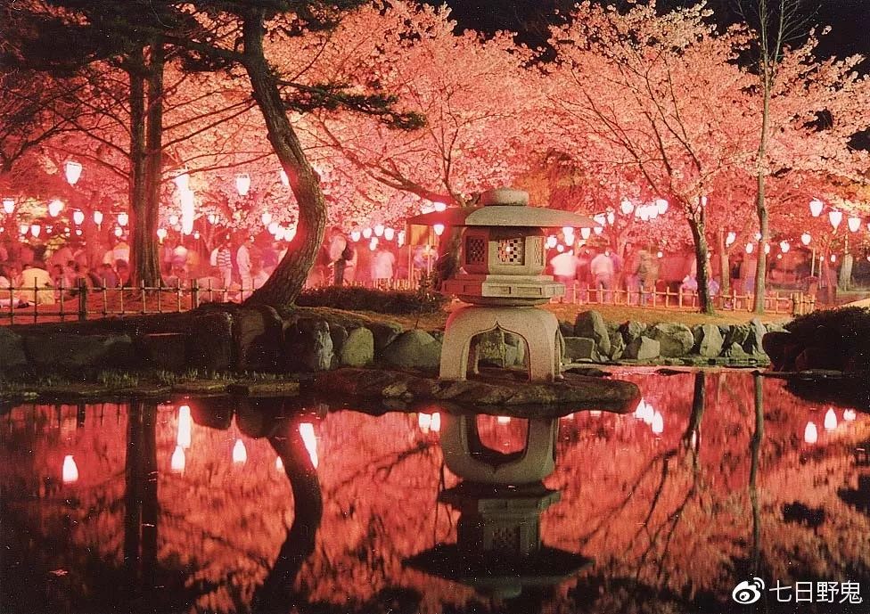 2019年日本大赏排行榜,2018全日本赏樱花旅游攻略