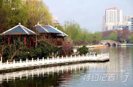 特约记者行最新视频,特约记者行俯瞰荆州醉美油菜花海