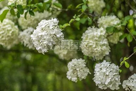 绵阳机场新增航线,绵阳机场开通了哪些航线