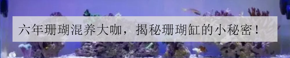 学生党20厘米小缸,学生后生可畏
