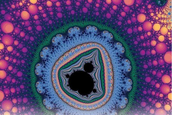 四个任务四张图,深度神经网络模型和认知大模型