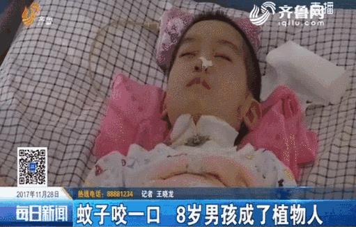 日本蚊子驱蚊神器,夏天灭蚊必备好物