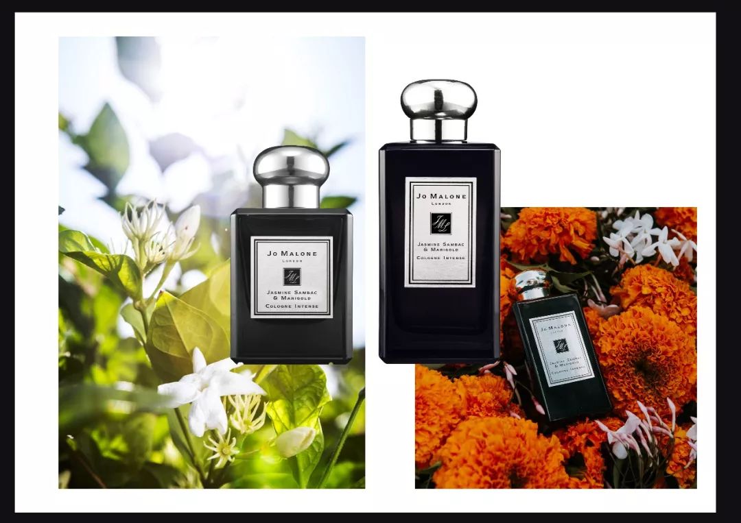 omg买它买它什么梗,omg买它原版