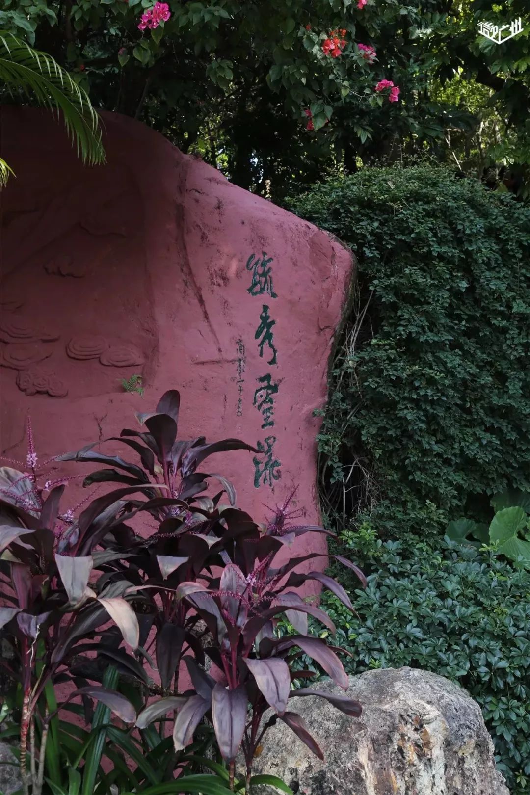 广州适合春游的免费景点,春游广州最适合去的地方