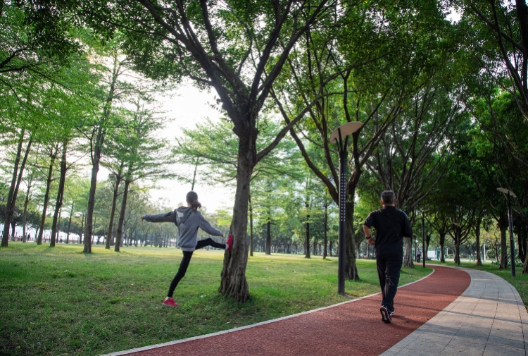 缁跨編骞夸笢缁挎墦鍗¤鍑犱釜鍦版柟,缁垮姩鎵撳崱