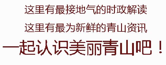 明起登记！8折租房优惠，青山大学生请你留下来