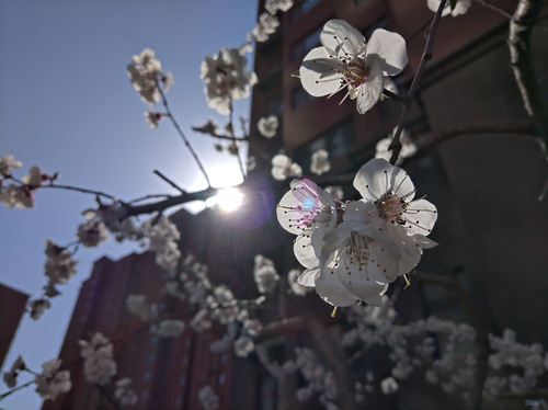 nokia9pureview体验,nokia9pureview质量怎么样