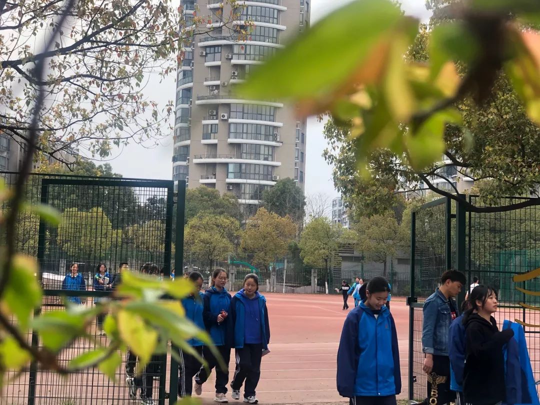 海量美图100张,海量高清美图