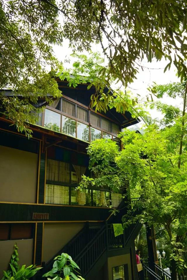 马来西亚猫山王详细攻略,尝一口香甜的马来西亚猫山王