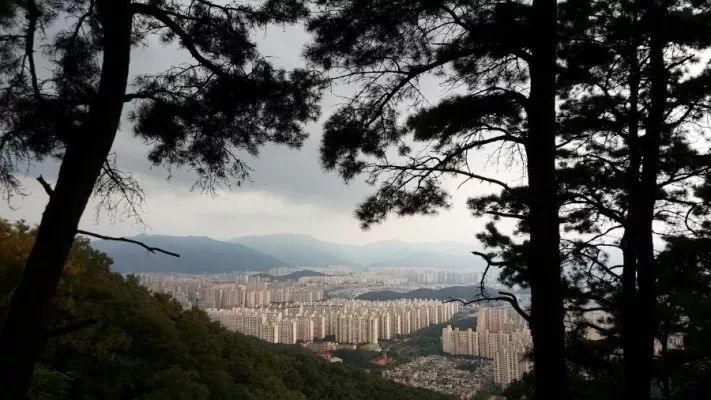 韩国三大悬案失踪案在哪看,韩国三十年未解悬案五少年失踪