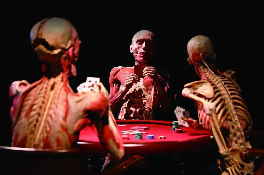 人体泌尿系统标本展览,这样的展览你见过吗