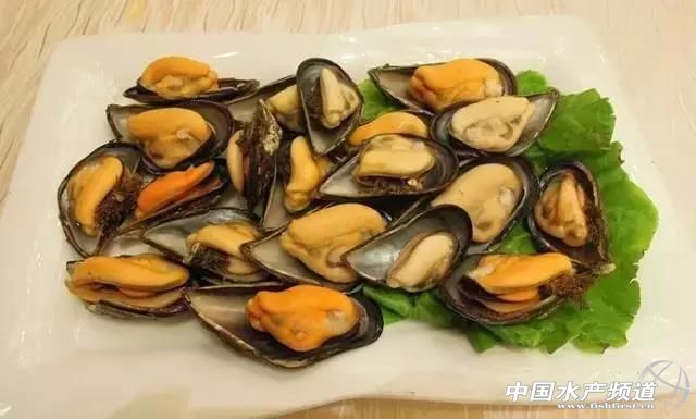 海鲜不可以吃的是哪些,海鲜禁忌你知道多少