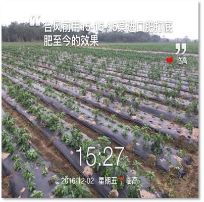 C位出道！嘉美好“藻精灵”正宗的海藻高塔复合肥，赶快报名免费尝鲜啦