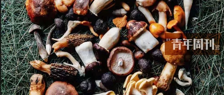 看了一圈中世纪海怪,觉得活在现代真的好好哦!