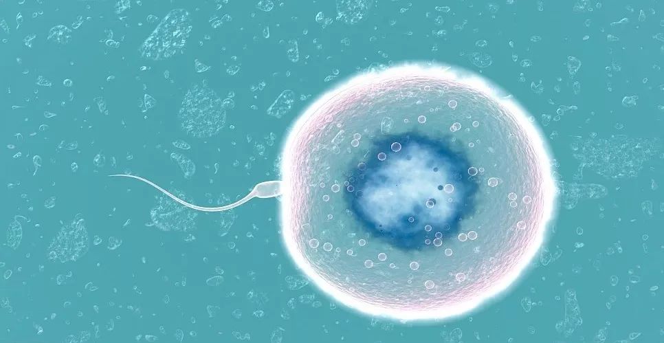 备孕吃叶酸好还是复合维生素片好,备孕一天补充几毫克叶酸片