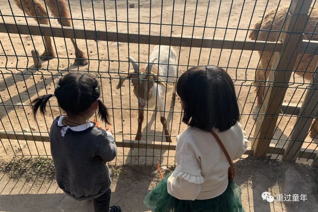 西安一个很有特色的公园,西安唯一要门票的公园