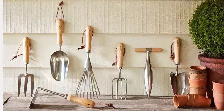 麻宁推荐|中国最时尚的未来花世界，拍照太出片了！