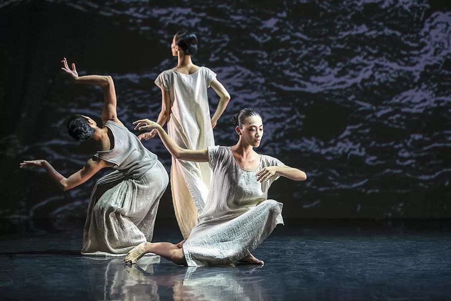 踏春看樱花,踏春看资溪