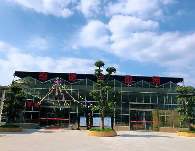 长阳城,长阳向阳花开