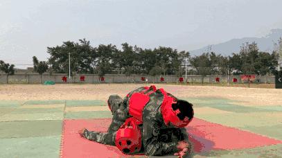 格斗高手速成手册,你值得拥有!