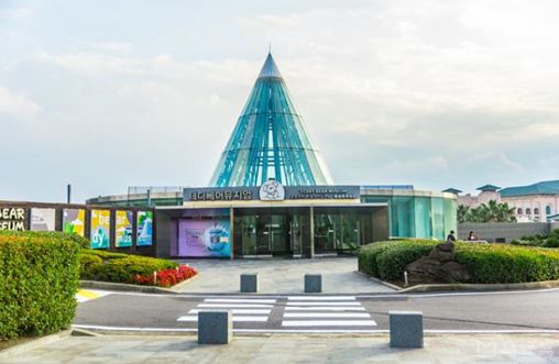 泰迪熊博物馆奇妙游,成都泰迪熊博物馆在哪里啊