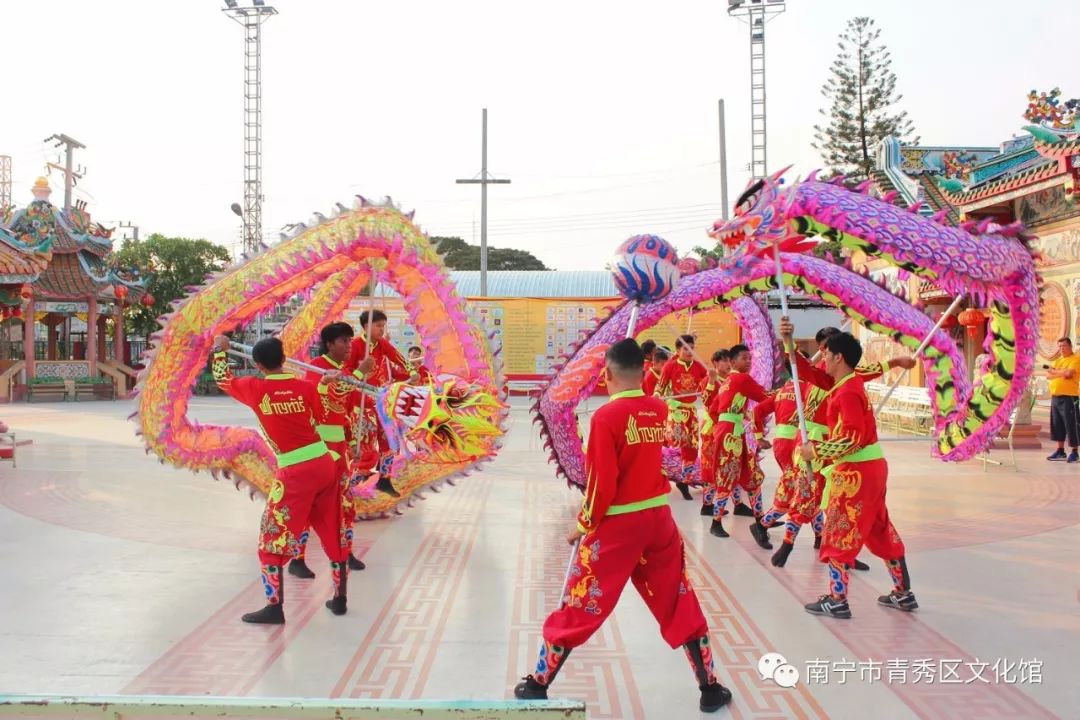 群龙聚首贺新春,青秀区国际传统舞龙邀请赛
