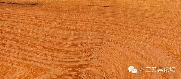 木材的种类及识别,常见木材的识别方法