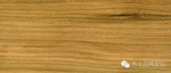 识别木材优劣家居人必备基本功,木材识别基础知识