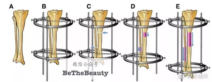 穿越回古代你会是什么样的美女,穿越到古代你会是什么样的女子