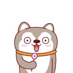 宁波机场直飞国内航线有哪些,宁波飞机场新增航线