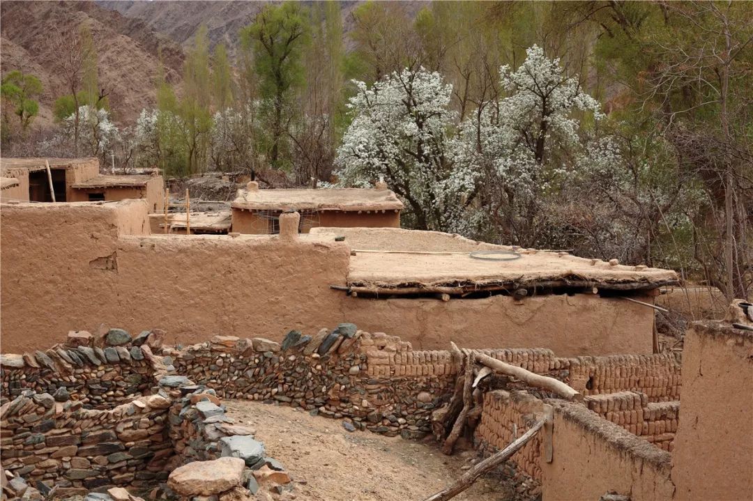 沙漠一年出现的奇观,沙漠黄河的奇景