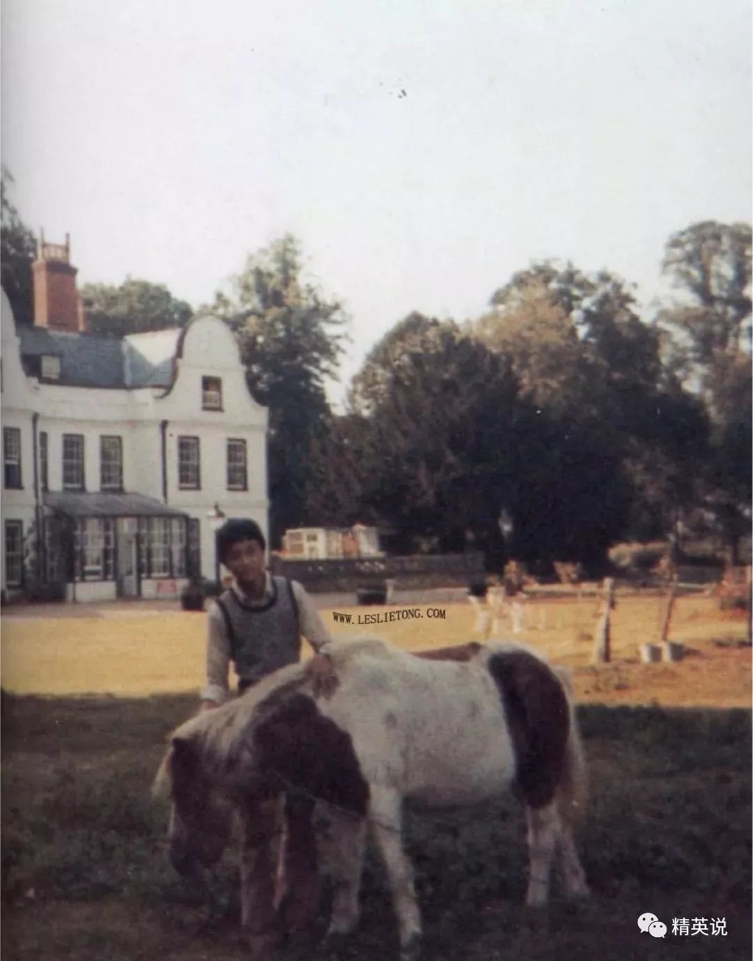 张国荣离开17年的照片,张国荣逝去的一代巨星