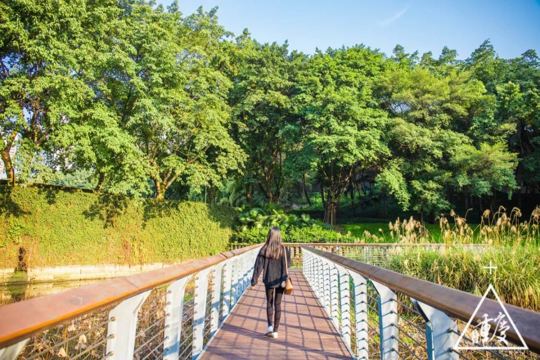 谈重庆南开中学,重庆有几所南开中学