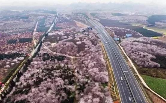 多彩贵州风景美如画,贵州自驾山路绝美风景