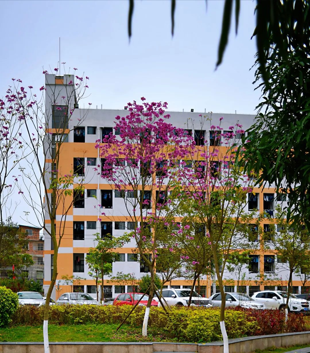 南宁市第一职业学校教师招聘,南宁市兴宁区教师招聘报名流程