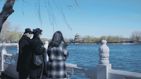 北京姑娘开民宿,北京姑娘开了家胡同民宿