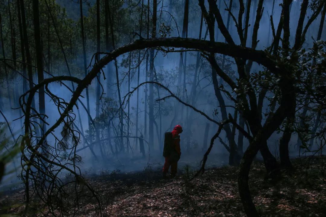 消防员森林火灾事件,四川森林大火致30名扑火人员