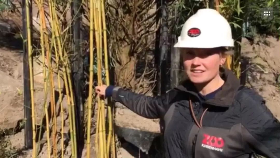 耗资1.5亿的阴阳太极状宫殿，毛二星二的丹麦新家也是太美好