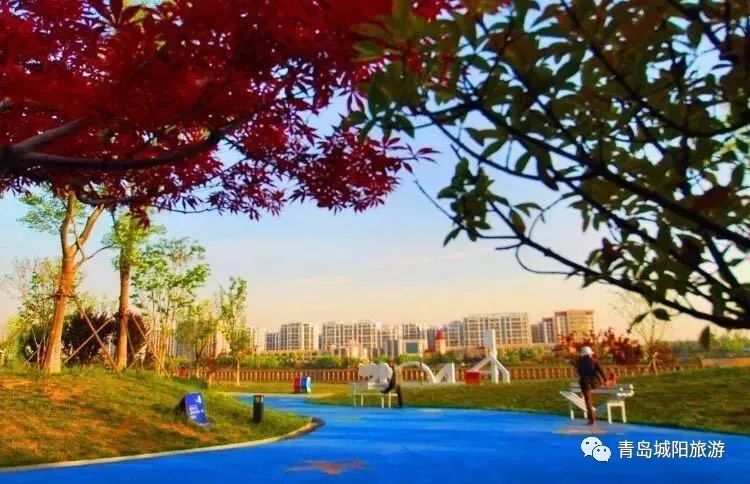 青岛城阳旅游线路推荐,青岛城阳一日游推荐