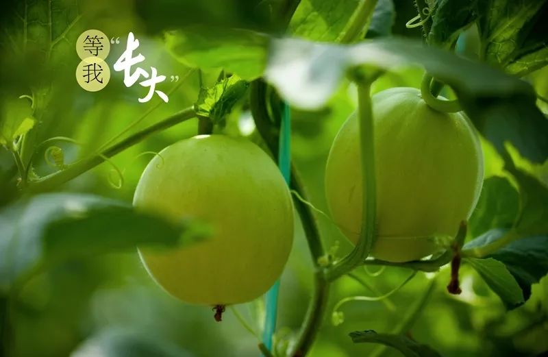 围观！阎良动漫旅游地图来啦，每一站都挺好~（文末有彩蛋）