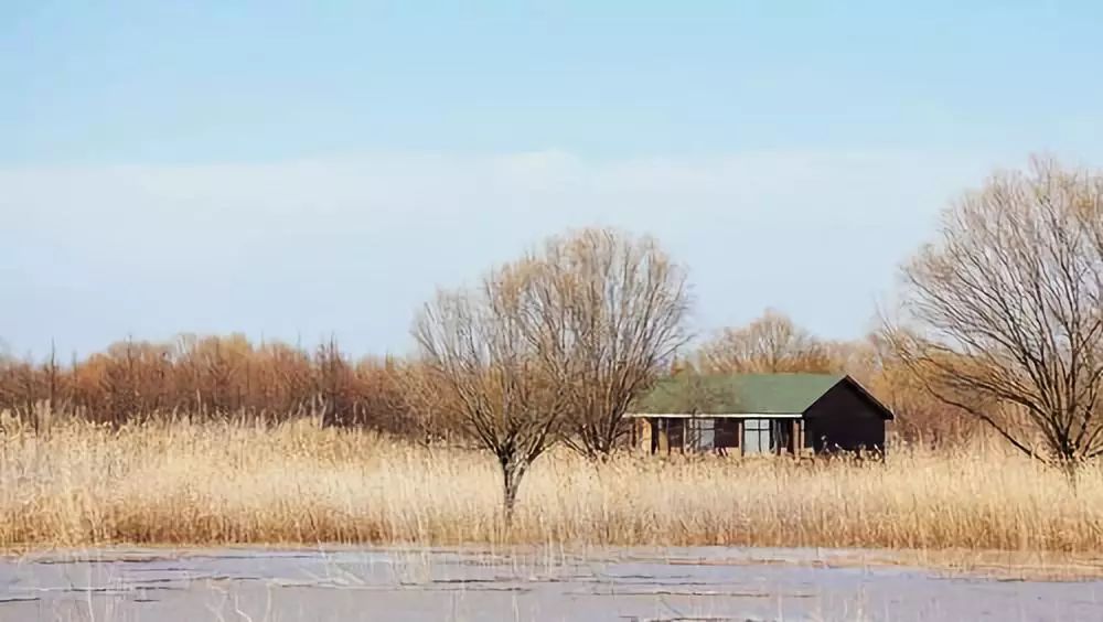 结棍！这个春天，是崇明撑起了魔都的体面！