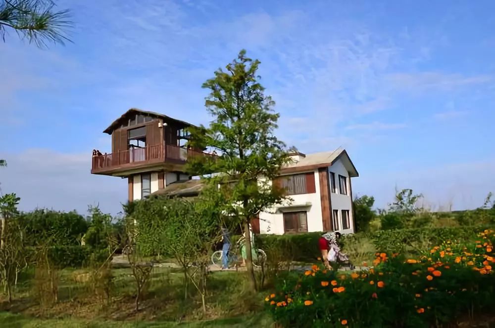 结棍！这个春天，是崇明撑起了魔都的体面！