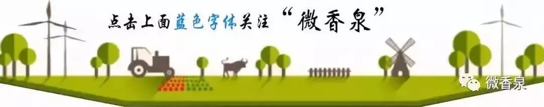 精准发力产业扶贫助力脱贫攻坚,新闻媒体宣传监督助力乡村振兴