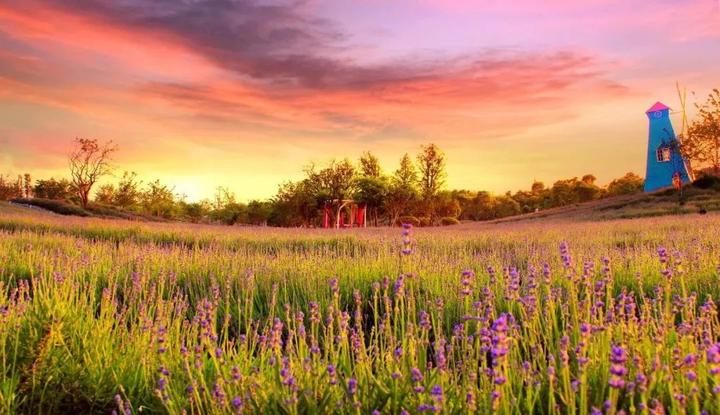 清明3天自驾游推荐路线,2024年清明高速免费时间