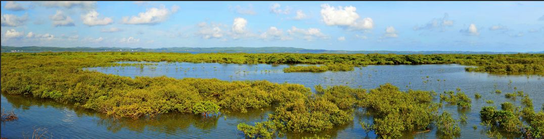 防城港东兴旅游攻略二日游,两天一夜防城港东兴旅游攻略
