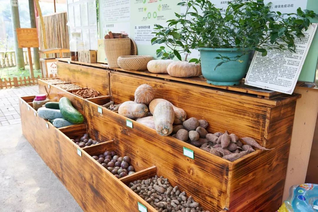 防城港东兴旅游攻略二日游,两天一夜防城港东兴旅游攻略