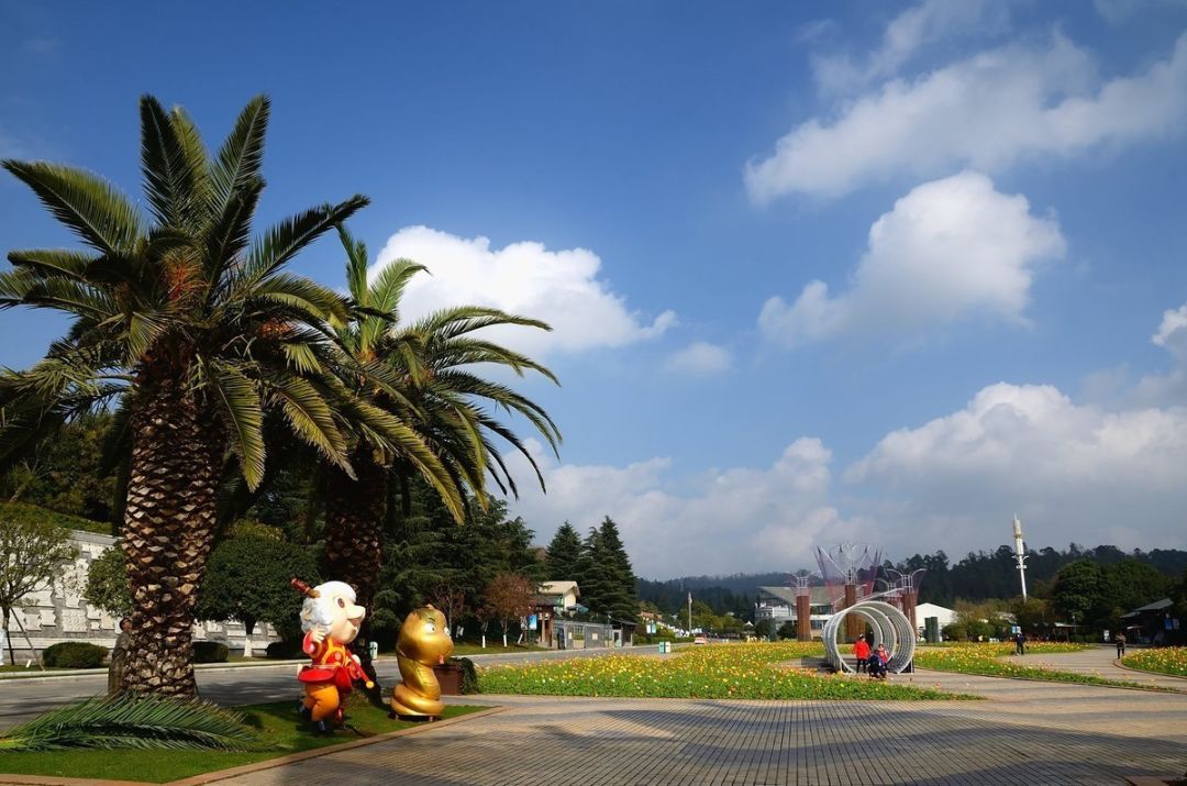 全面开挂！盘龙区大发展！未来不可估量！