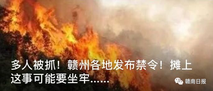 可怕疯狗咬伤多人警方紧急出动,疯狗咬伤6人