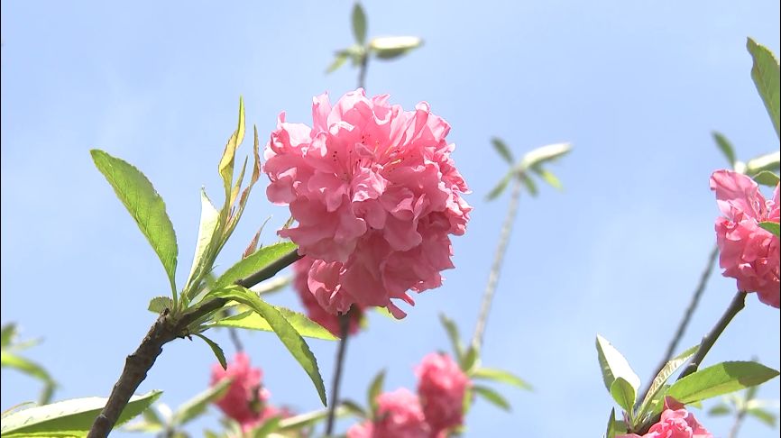 地铁客流最新,地铁早高峰客流逐步回升
