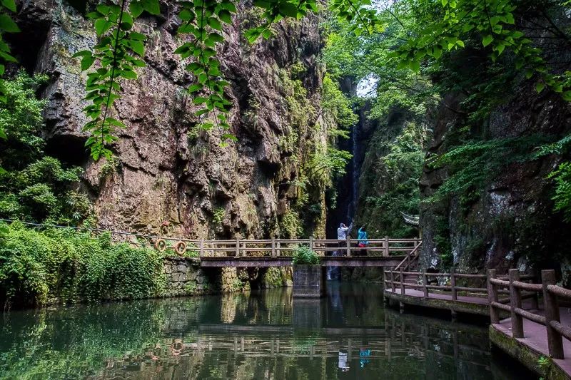助力家乡发展旅游,助力家乡旅游业发展